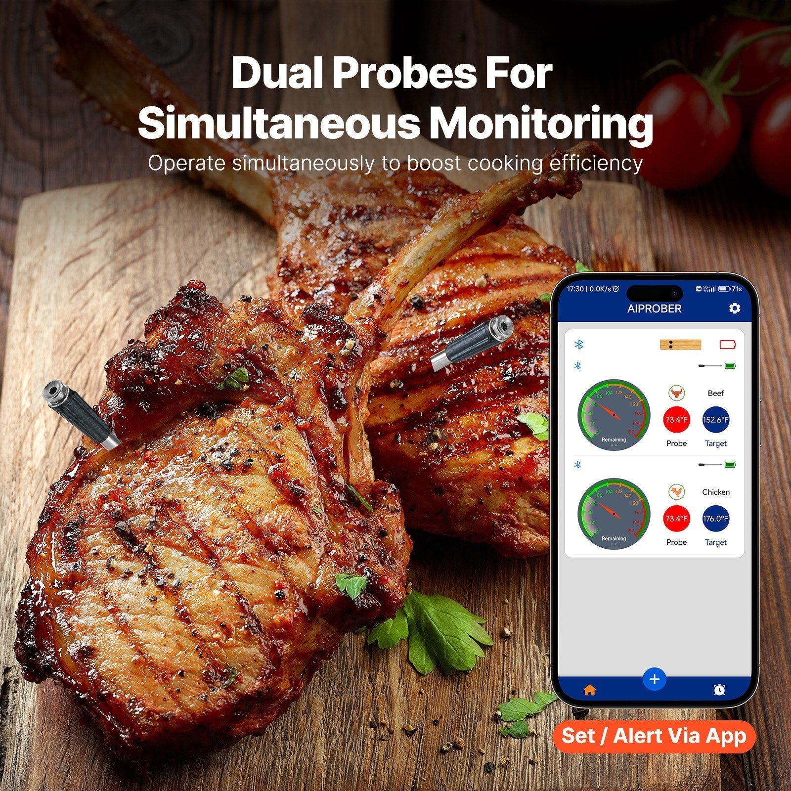 UCBBQ Premium Wireless Smart Thermometer by VEVOR - Uncle Clarence BBQ