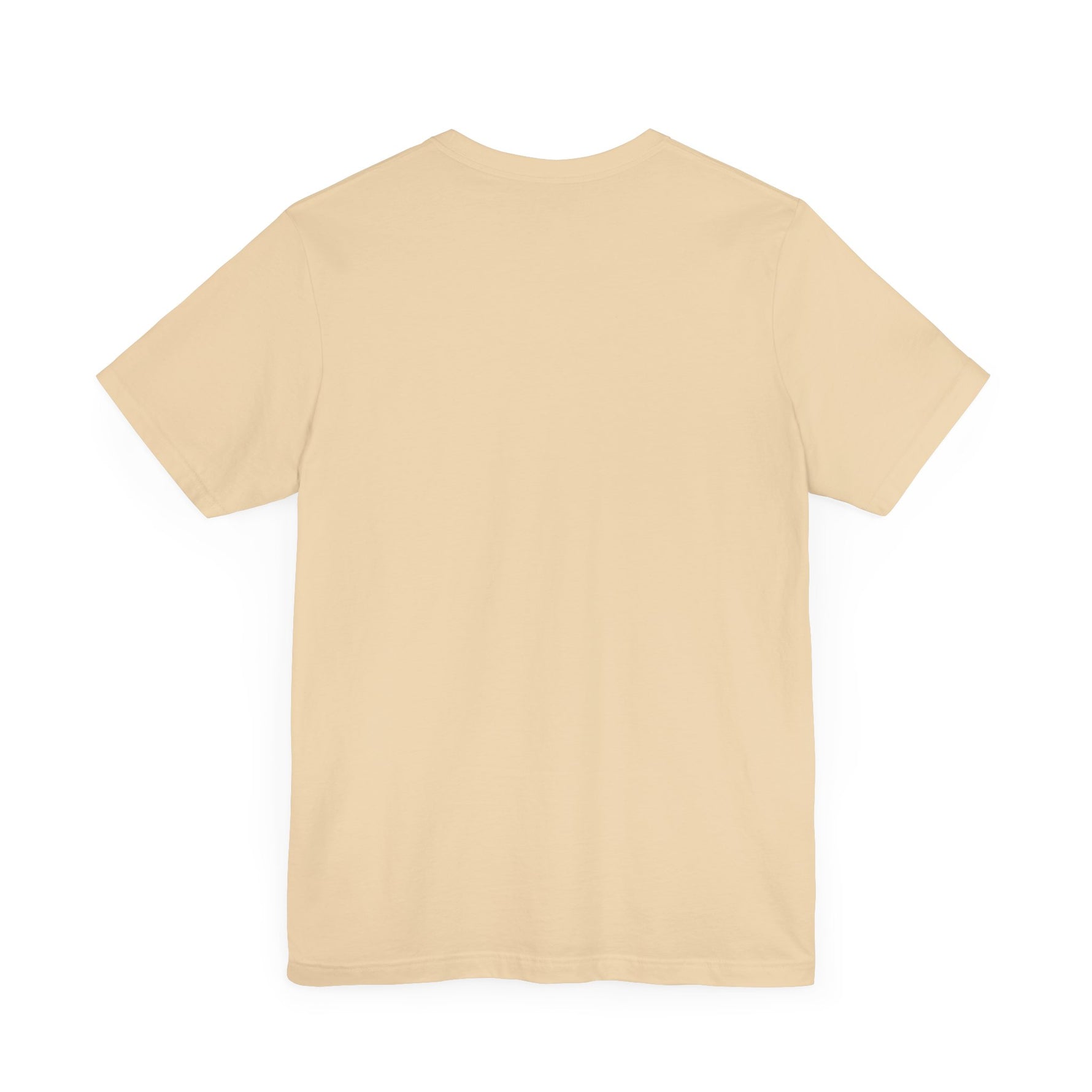 Back view of the Revolution BBQ flavors t-shirt in a soft beige color
